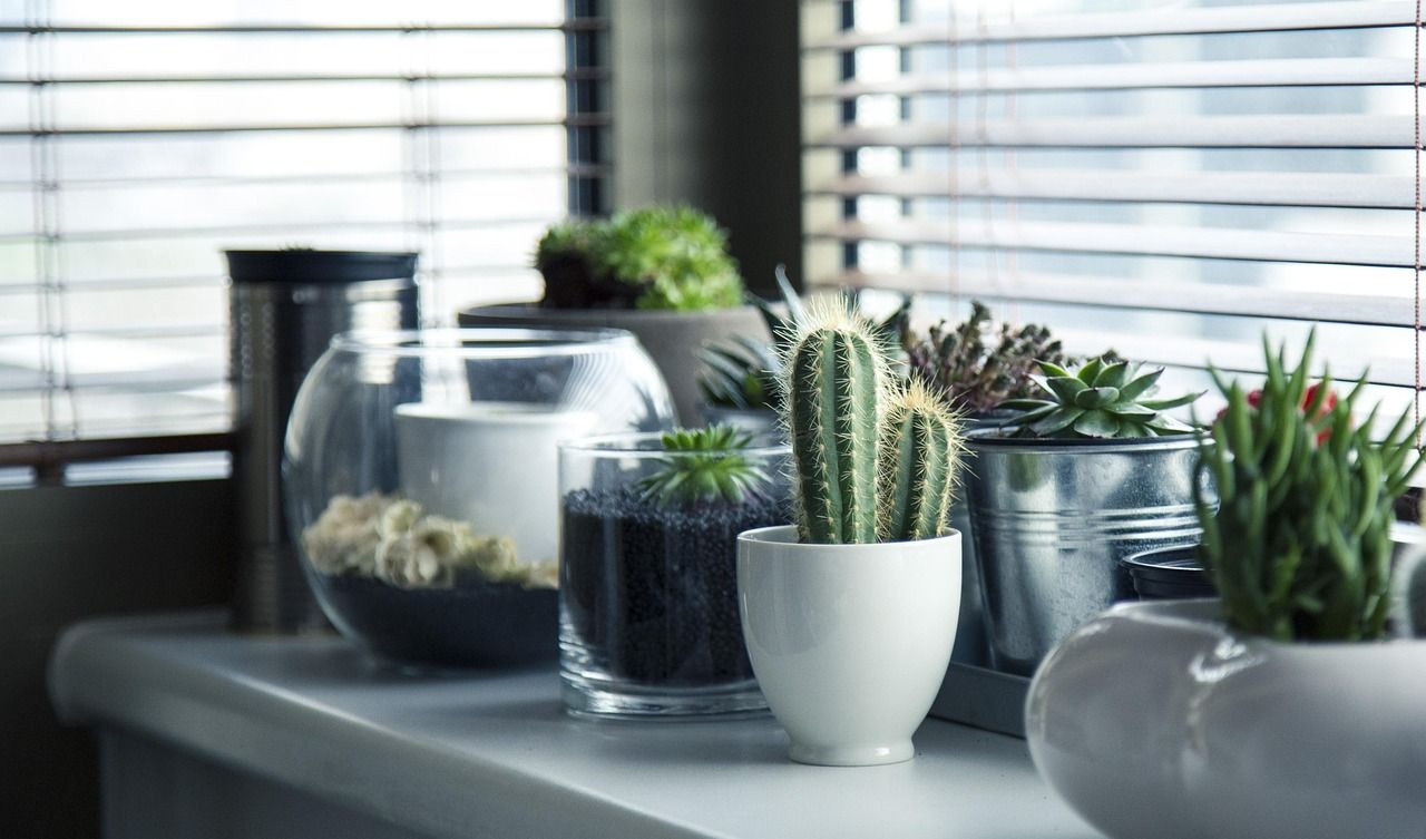 entdecken sie stilvolle und moderne wohnaccessoires und dekorationen für ihr zuhause. lassen sie sich inspirieren und verleihen sie jedem raum eine persönliche note mit unserer sorgfältig ausgewählten kollektion an heimdekoren.