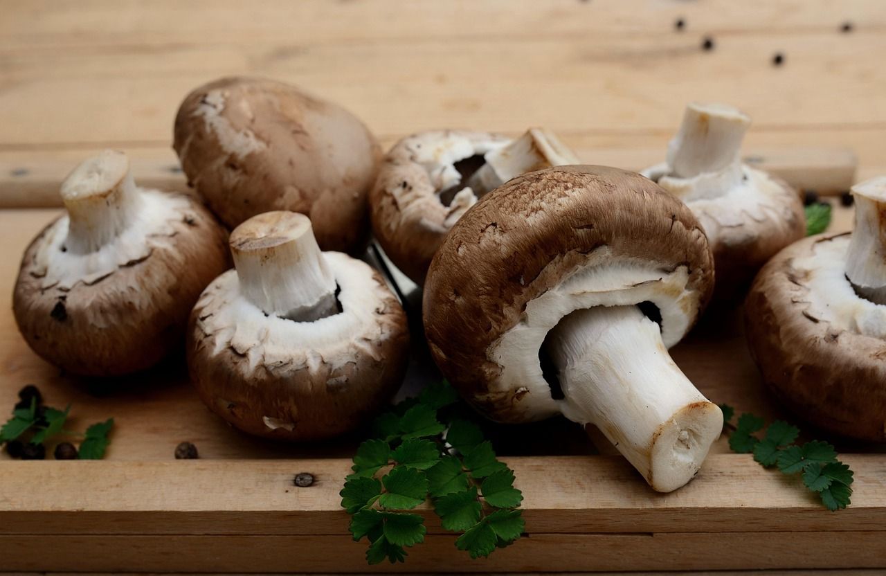 entdecken sie köstliche und kreative vegetarische rezepte, die einfach zuzubereiten sind. lassen sie sich von gesunden zutaten und vielfältigen aromen inspirieren, um köstliche gerichte für jeden anlass zu kreieren!