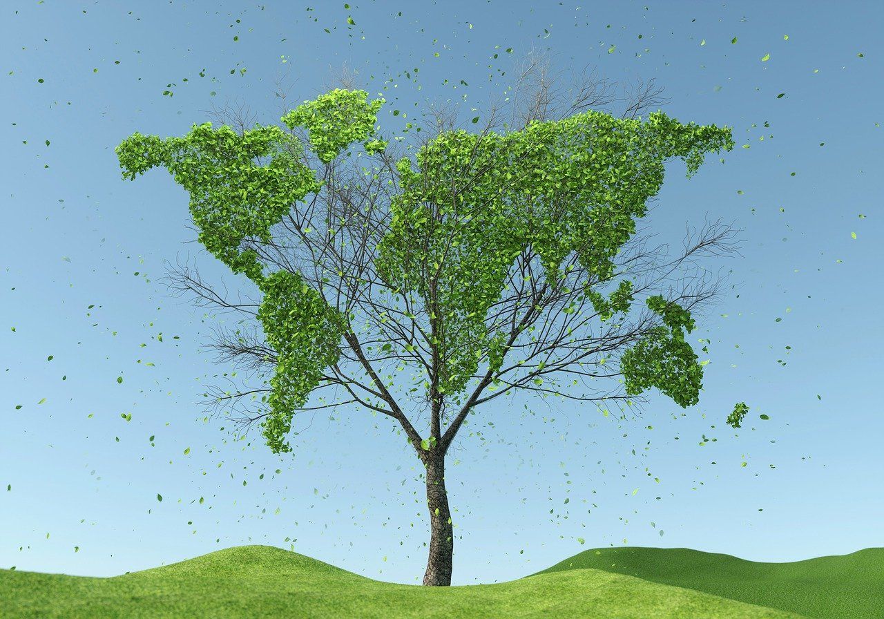 entdecken sie die neuesten trends und praktiken im bereich nachhaltigkeit. erfahren sie, wie unternehmen und einzelpersonen zur wahrung unserer umwelt beitragen können. nachhaltigkeit ist der schlüssel zu einer besseren zukunft.