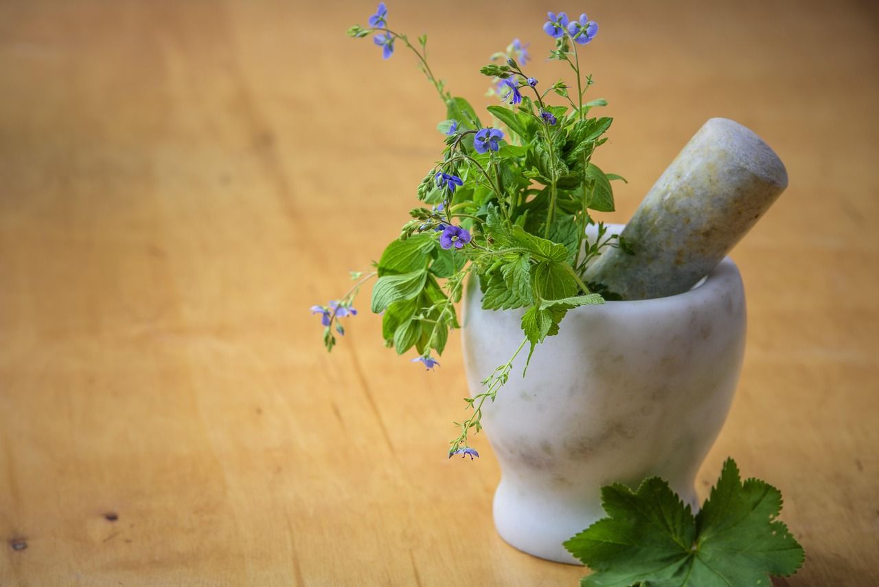 entdecken sie die besten hausmittel für eine natürliche gesundheit! erfahren sie, wie sie alltägliche beschwerden mit bewährten heilmethoden aus der natur behandeln können.