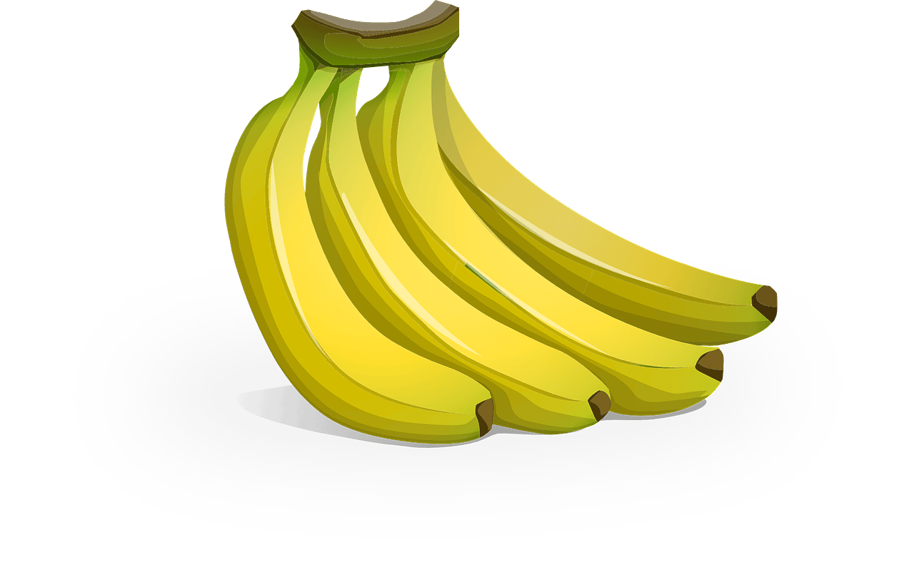 Fitness und Ernährung: Die besten Tipps für einen gesunden Lebensstil