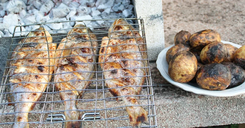 Grillplätze am Wasser und im Brandenburger Umland