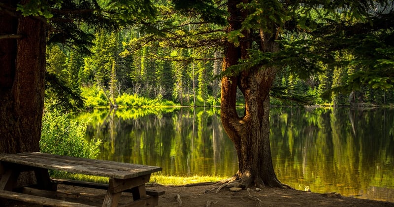 Aueweiher Fulda: Naturparadies, Spaziergänge und Erholung pur
