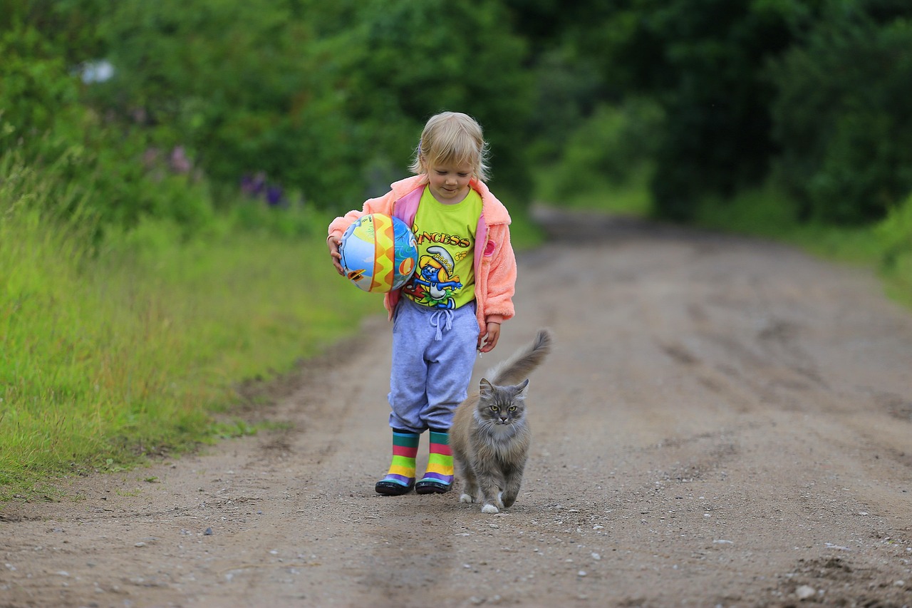 Tierverhalten verstehen: Die Geheimnisse der animalischen Kommunikation