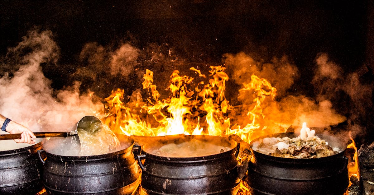 entdecken sie die kunst des kochens mit unseren leckeren rezepten, tipps und techniken. lassen sie ihrer kreativität in der küche freien lauf und zaubern sie köstliche gerichte für jeden anlass.