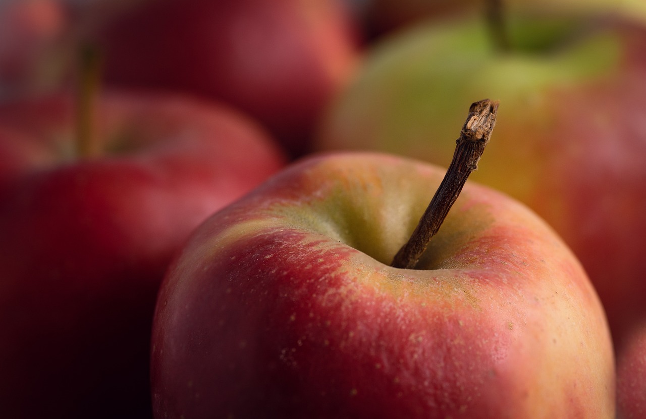 entdecken sie effektive strategien zur gesundheitsförderung, die ihr wohlbefinden steigern und ihre lebensqualität verbessern. erfahren sie mehr über gesunde lebensstile, prävention und persönliche gesundheitsziele.