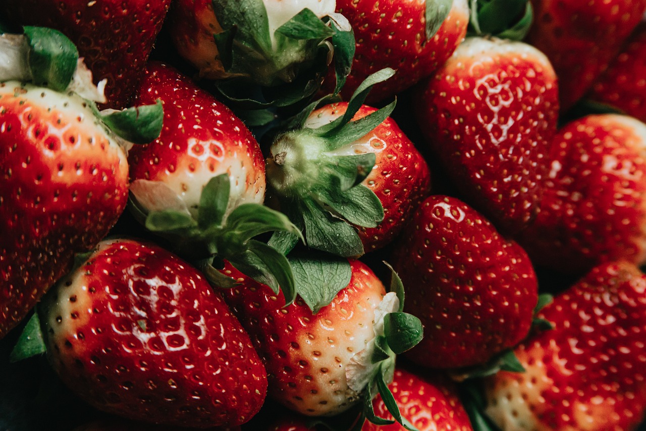 entdecken sie die vorteile von bio-lebensmitteln! unsere auswahl an organischen produkten garantiert frische, qualität und nachhaltigkeit. ernähren sie sich gesund und umweltbewusst mit hochwertigen bio-lebensmitteln aus kontrolliertem anbau.