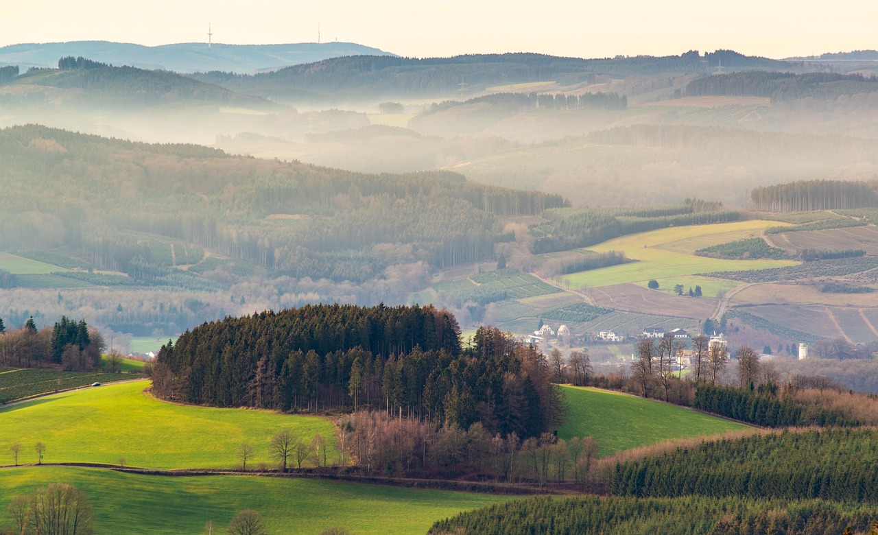entdecken sie eine unterstützende umgebung, die kreativität und zusammenarbeit fördert. unsere ressourcen und gemeinschaft helfen ihnen, ihre ziele zu erreichen und ihr volles potenzial auszuschöpfen.