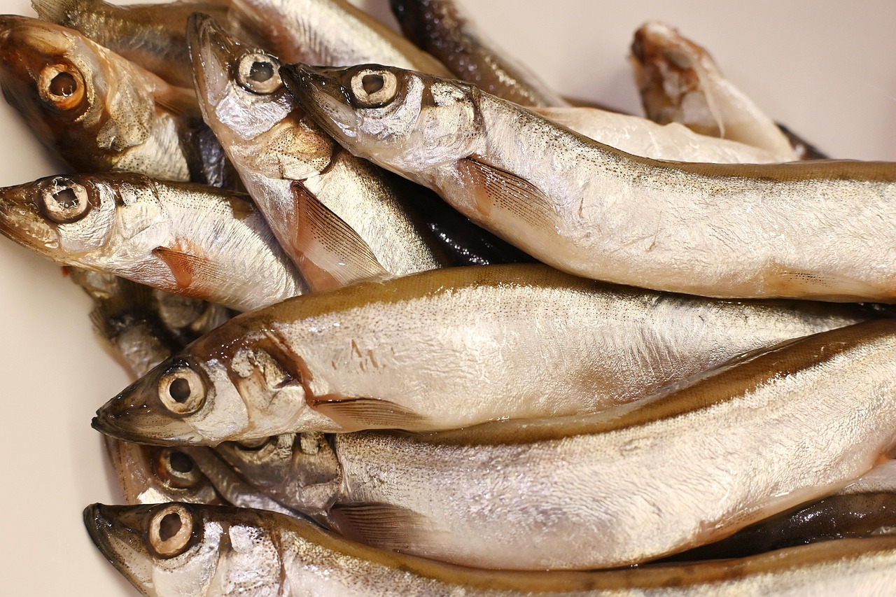 entdecken sie die aufregende welt der kochgemeinschaften, in denen leidenschaftliche köche rezepte austauschen, kulinarische techniken verfeinern und gemeinsame essensmomente erleben. tauchen sie ein in eine gemeinschaft, die das kochen zu einem gemeinsamen erlebnis macht!