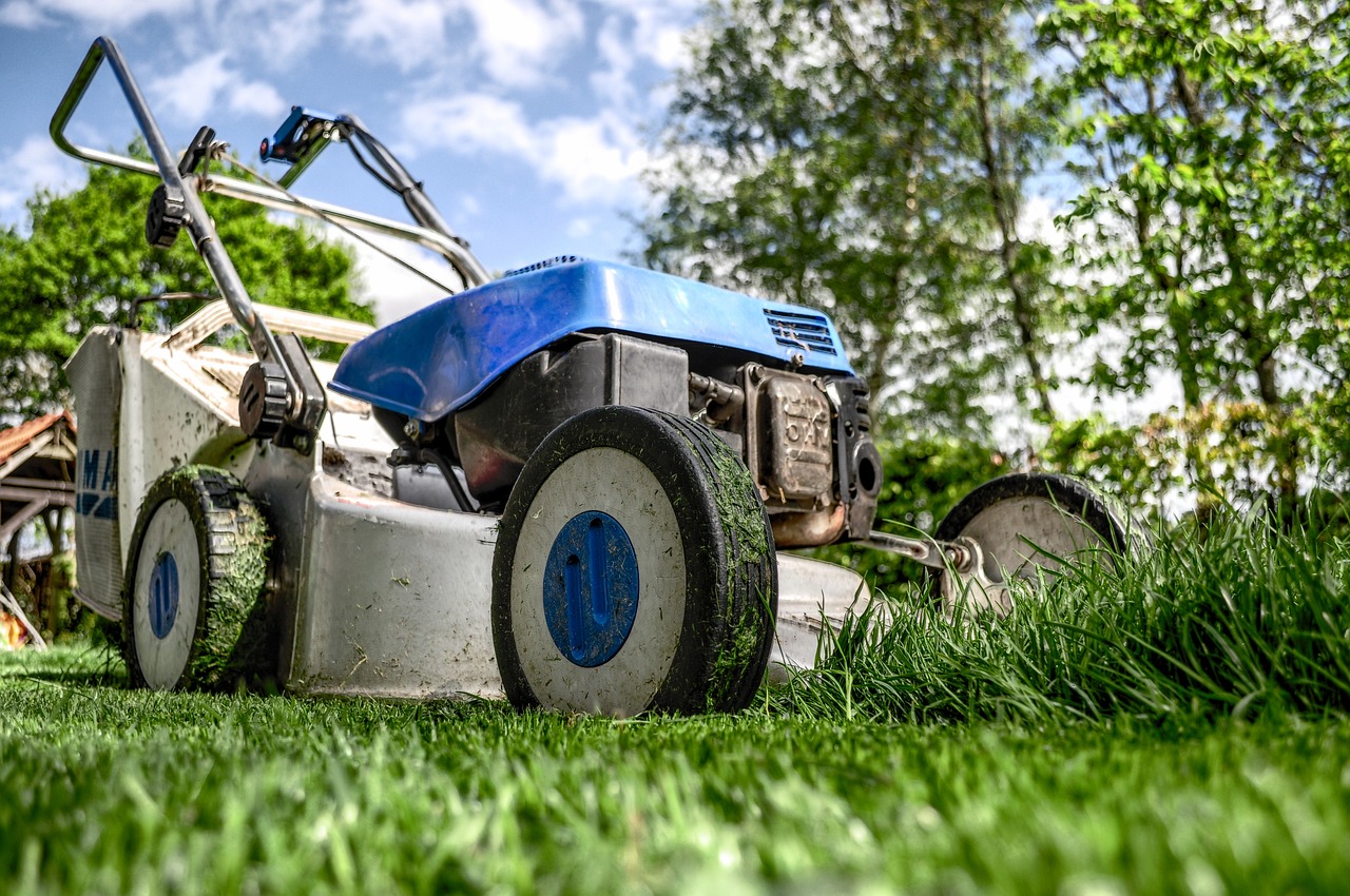 entdecken sie die freude am gärtnern! erfahren sie wissenswerte tipps und kreative ideen für ihren garten, um ihn in eine blühende oase zu verwandeln.