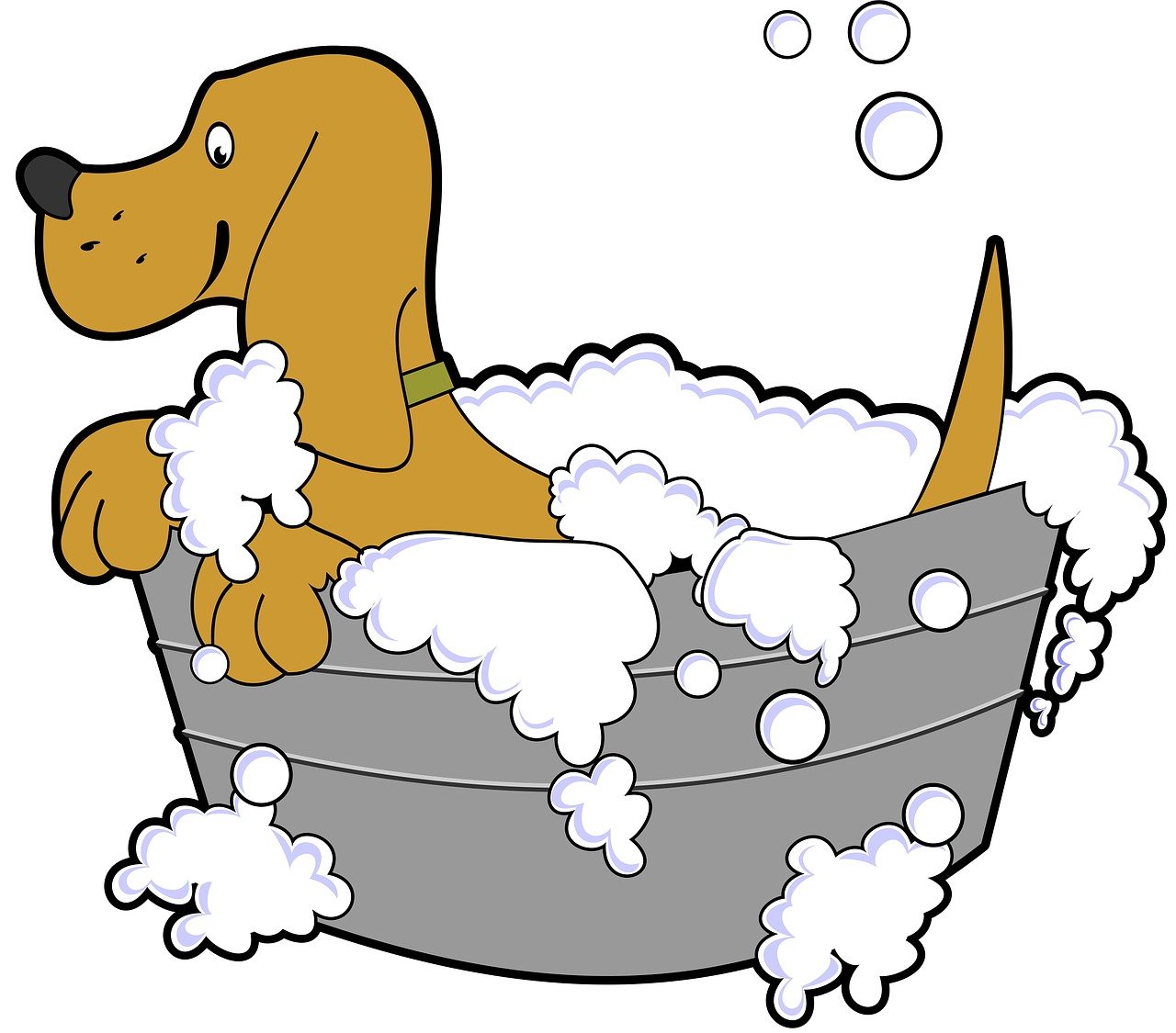 entdecken sie alles über die pflege ihrer haustiere! tipps zur ernährung, gesundheit und beschäftigung für katzen, hunde und andere tiere.