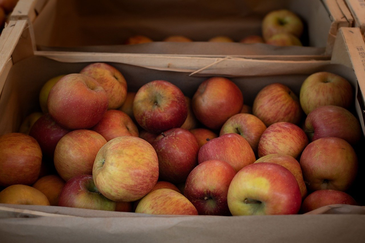 entdecken sie nachhaltige ernährungsweisen, die sowohl gesund für sie als auch für unseren planeten sind. erfahren sie, wie sie umweltfreundliche lebensmittel wählen und ihren ökologischen fußabdruck reduzieren können.