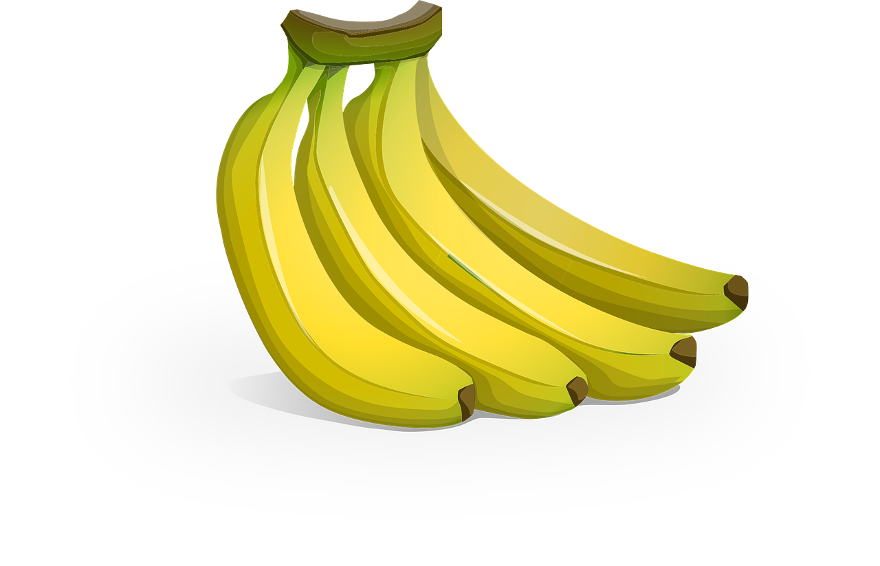 Fitness und Ernährung: Die besten Tipps für einen gesunden Lebensstil
