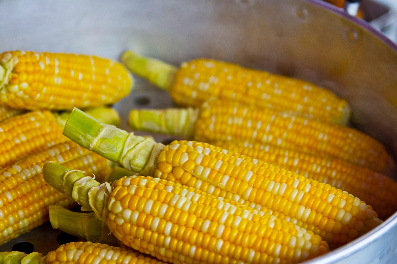 entdecken sie wertvolle informationen und tipps zur ernährung, um einen gesunden lebensstil zu fördern. optimieren sie ihre nahrungsaufnahme mit ausgewogenen rezepten und wertvollen ratschlägen zur ernährung.