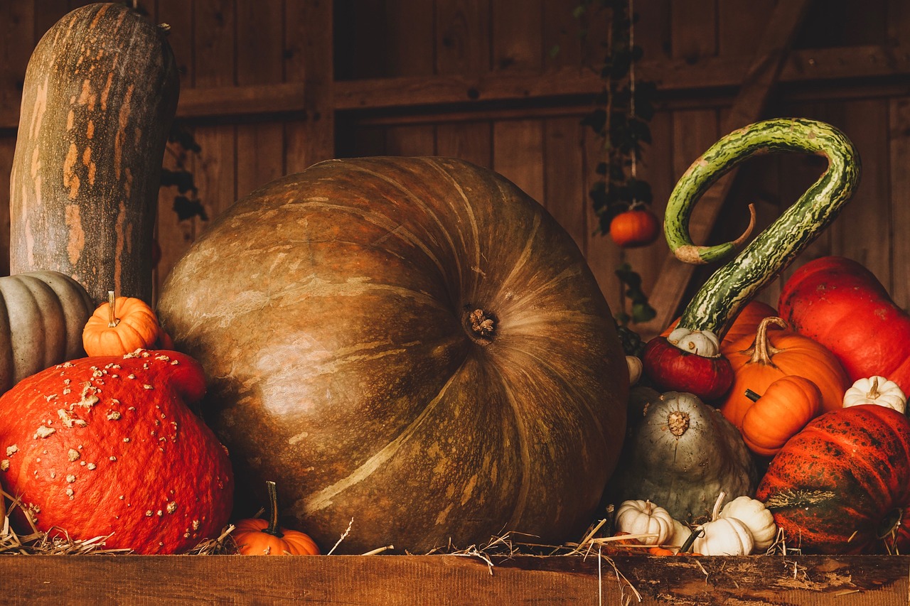 entdecken sie köstliche rezeptideen mit kürbis! von herzhaften gerichten bis zu süßen leckereien - inspirieren sie ihre küche mit den besten kürbisrezepten für jeden anlass.
