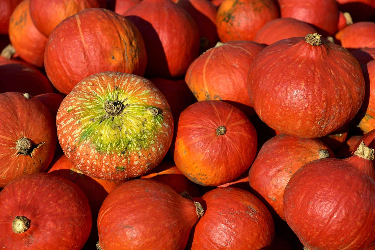 entdecken sie köstliche kürbisrezepte für jede jahreszeit! von herzhaften suppen bis zu süßen desserts - lassen sie sich von unseren kreativen ideen inspirieren und bringen sie den herbst auf ihren tisch.