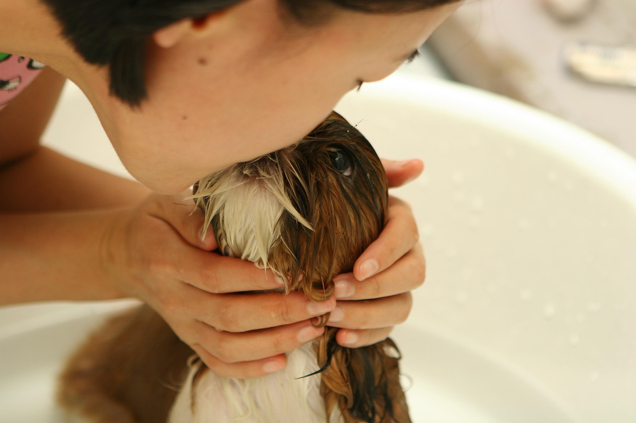 Tierpfleger: Ein Blick hinter die Kulissen der Tierpflege