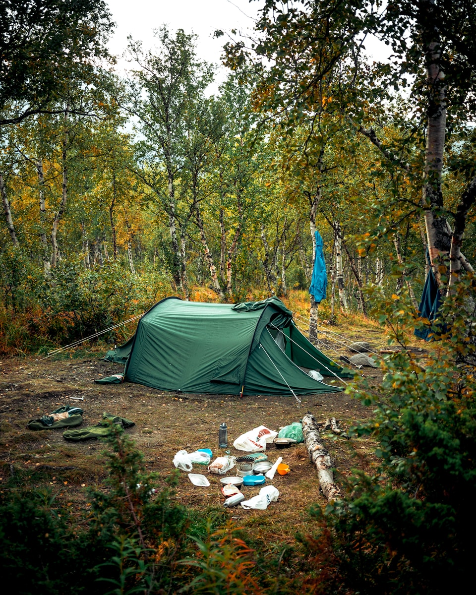 green tent surrounded with trees at daytime