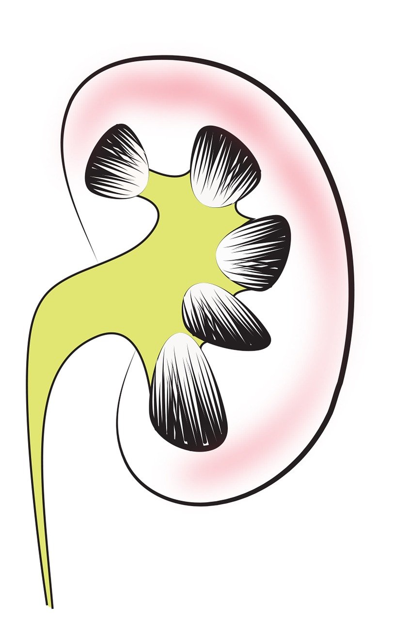 entdecken sie die wichtigsten aspekte der gesundheitserziehung. erfahren sie, wie gesundheitsbildung zu einem gesünderen lebensstil und besserem wohlbefinden beiträgt. tipps, ressourcen und aktuelle informationen rund um gesundheitsaufklärung.